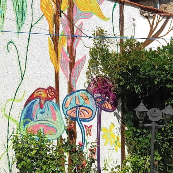 Imagen de perfil