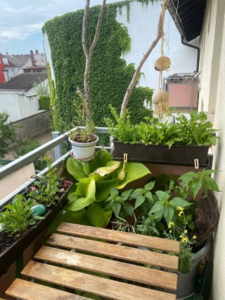 Ad image: Apartment in the heart Bruchsals on time -- according to individual arrangement usable as WG