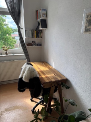 Anzeigenbild: Zwischenmiete: Schöne Wohnung im Frankenberger Viertel!