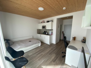 Anzeigenbild: Moderne möblierte 1-Zimmer-Studentenwohnung neben der FH in Heide