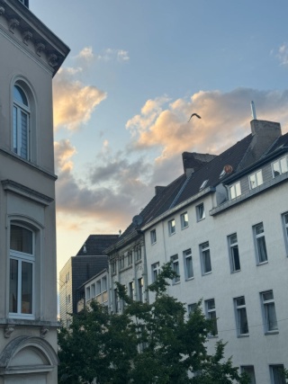 WG-Zimmer in 2er-WG ab Mitte April/ Anfang Mai 🌞