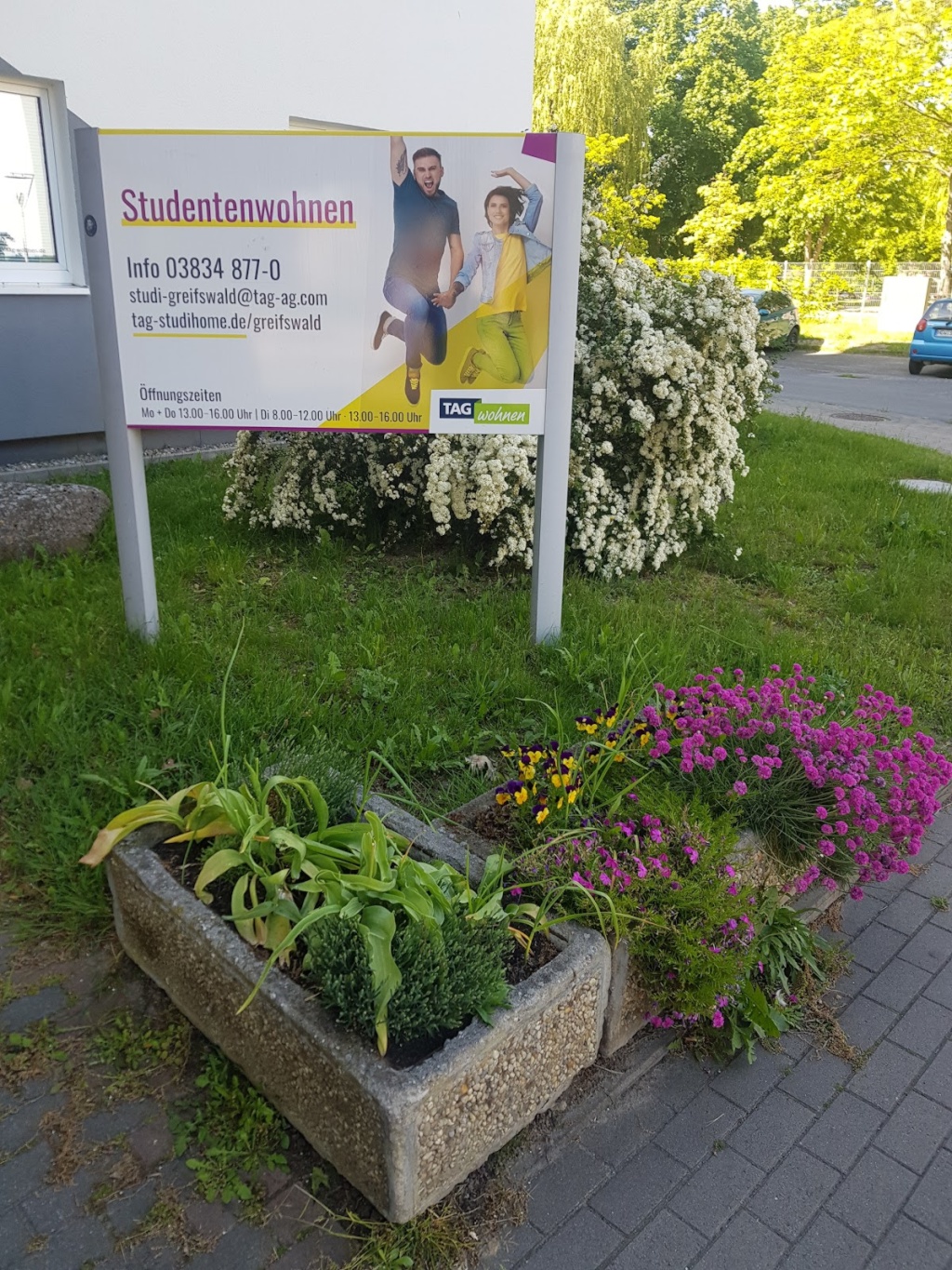 1-Zimmer-Wohnung Greifswald Makarenkostraße 48 - Vorgarten