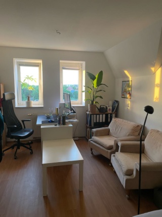 Anzeigenbild: Großes, möbiliertes WG-Zimmer direkt am Nordpark mit Blick ins Grüne