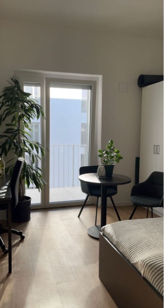 Imagen del anuncio: Moderno apartamento de 1 habitación amueblado