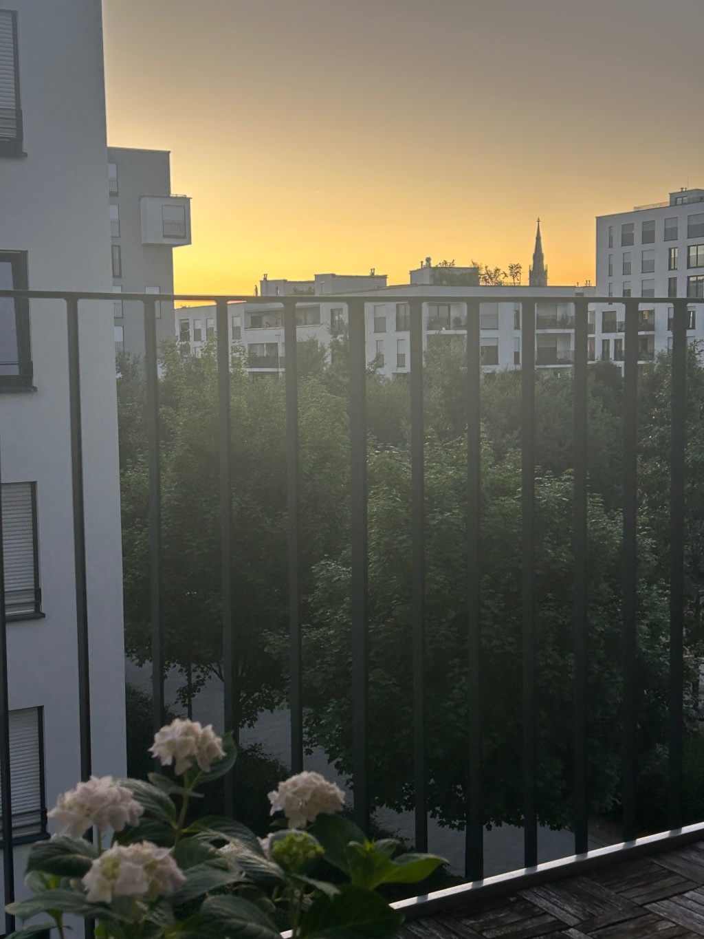 Untermiete für 3 Monate: Moderne 2 Zi-Wohnung mit Balkon in zentraler Lage – Weißenseestraße 124, 81539 München Obergiesing – Vorschaubild 10