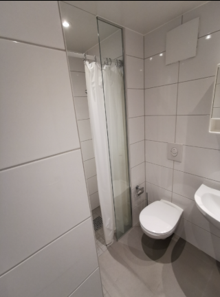 Anzeigenbild: Moderne Einzimmerwohnung in Wohnheim
