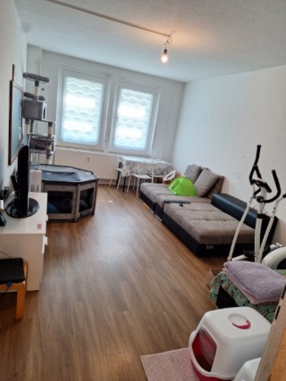 Imagen del anuncio: 1 habitación para un gato amante compañero de cuarto