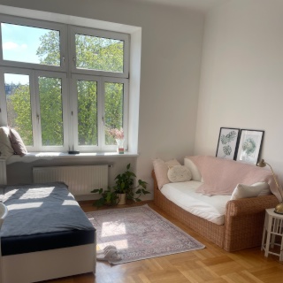 Anzeigenbild: Wohnung direkt neben dem grünen Prater 🌳
