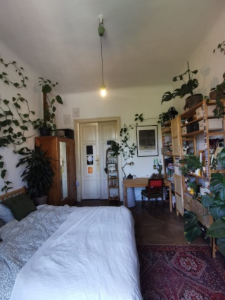 Anzeigenbild: 4er Studenten WG Graz Merangasse zu vermieten