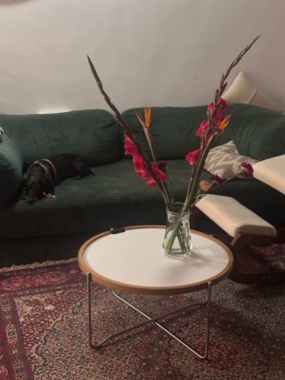 Imagen del anuncio: apartamento en el casco antiguo de Barcelona