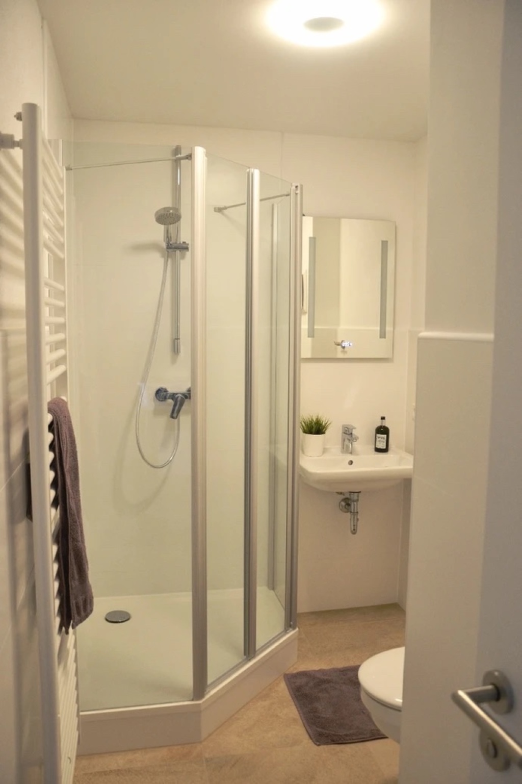 WG-Zimmer Königswiesen-Dechbetten-Großprüfening Boessnerstraße  3d - Badezimmer