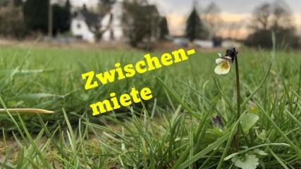 Anzeigenbild: Zwischenmiete Gleisdreieck – Wohnprojekt im Grünen