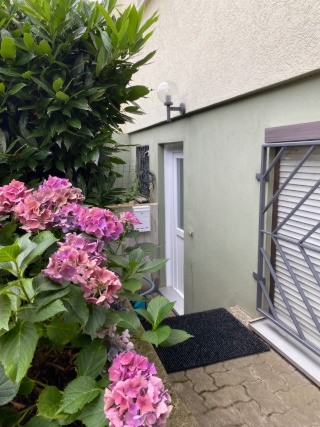 Anzeigenbild: Souterrain Appartement, möbliert
