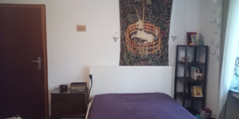 Anzeigenbild: WG Zimmer von August bis November