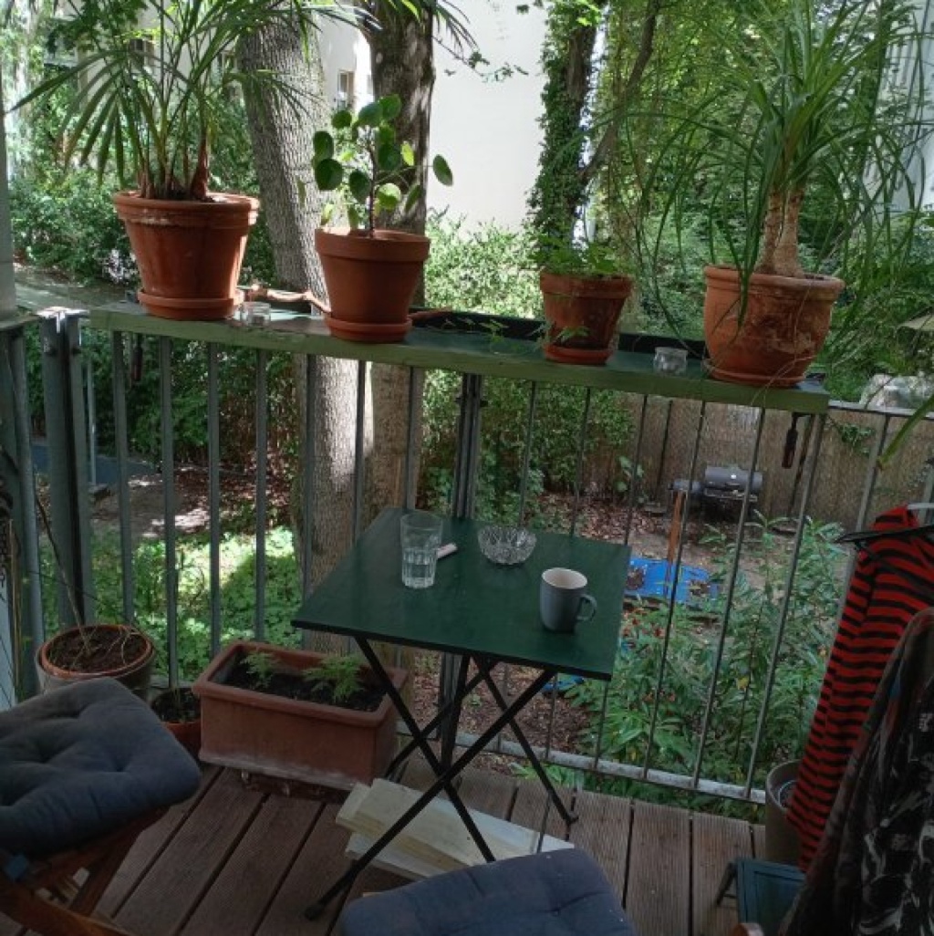 Wohnung Prenzlauer Berg Gaudystr. - Blick vom Balkon in den grünen Hinterhaus Garten I