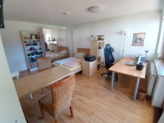 Ad image: Quiet 1-Zi apartment for rent in Tübingen Wanne (near clinic, perfect for PJ)