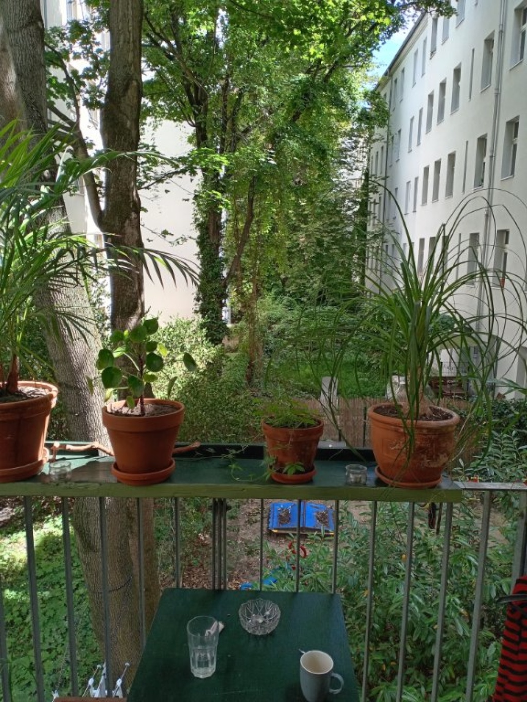 Wohnung Prenzlauer Berg Gaudystr. - Blick vom Balkon in den grünen Hinterhaus Garten II