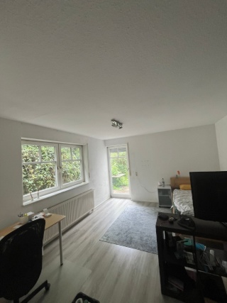 Ad image: Quiet one-room apartment with storage room and terrace