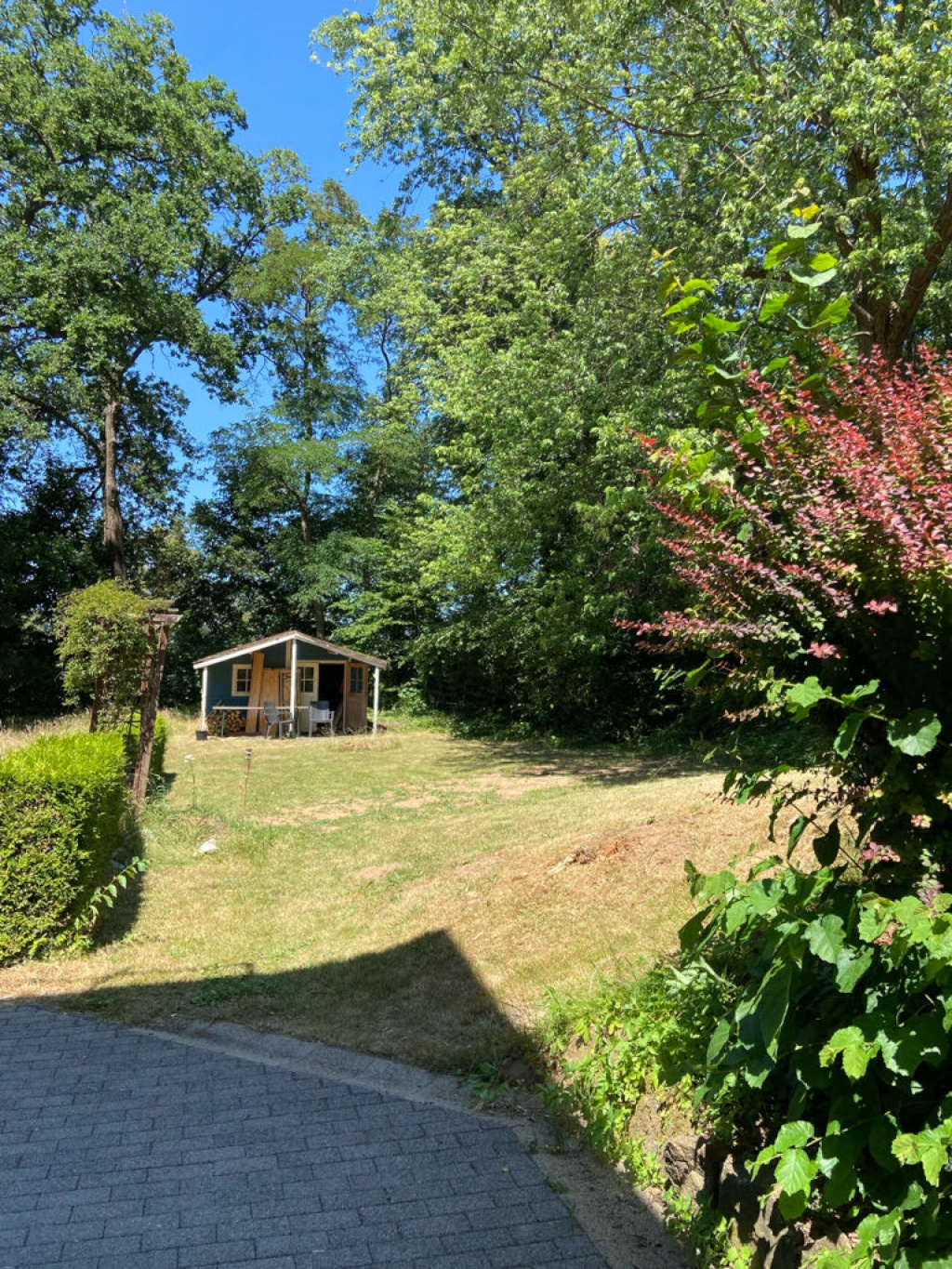 WG-Zimmer Kernstadt Großseelheimerstraße  1 - Unser Garten