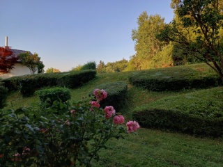 Anzeigenbild: Wunderschöne 1-Zimmer-Wohnung in ruhiger Lage