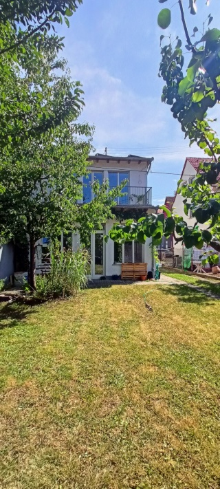 Imagen del anuncio: Drei WG-Zimmer in großem Haus mit schönem Garten in ruhiger Lage, nahe Heidelberg und Mannheim, offene und herzliche Mitbewohnende gesucht