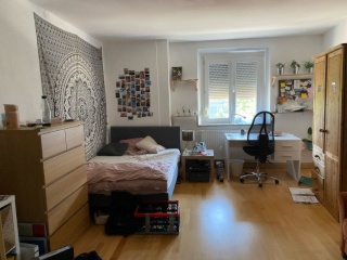 Anzeigenbild: Großes unbefristetes WG- Zimmer im Ostenviertel