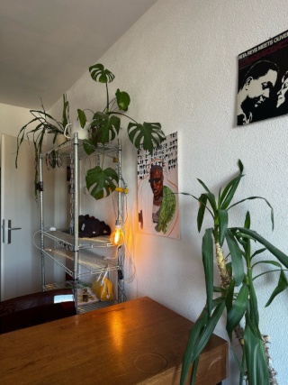 Ad image: 3 WG in Trier Mitte with balcony