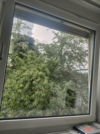 Ad image: room in a dormitory in tübingen available from 28th of July Till 8th of october