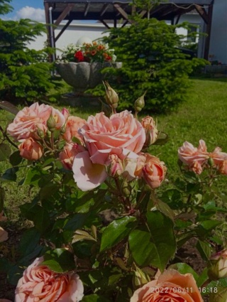 Imagen del anuncio: Luminoso apartamento de 3 habitaciones en Bierbüttel – WG nueva fundación! Disponible ahora 🌿