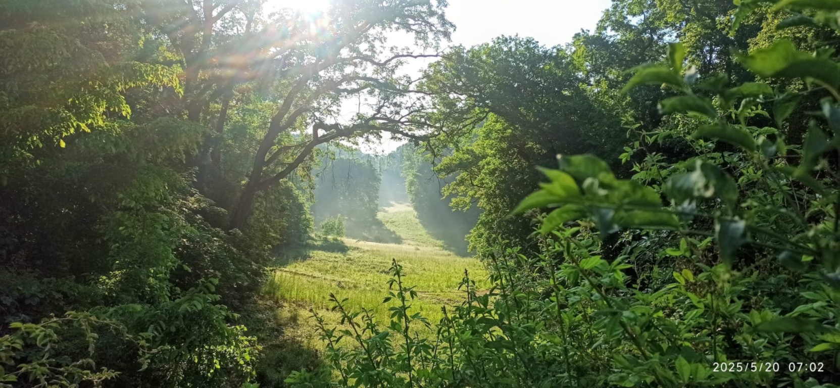 Flatshare Kladow Neukladower Allee - Natur pur