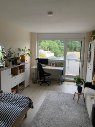 Imagen del anuncio: Apartamento para estudiantes en alquiler desde mediados de agosto a febrero