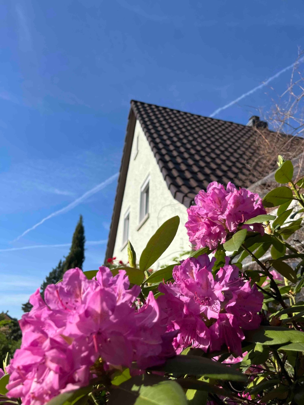WG-Zimmer Waldheim Am Klingenrain 13 - the house in the countryside