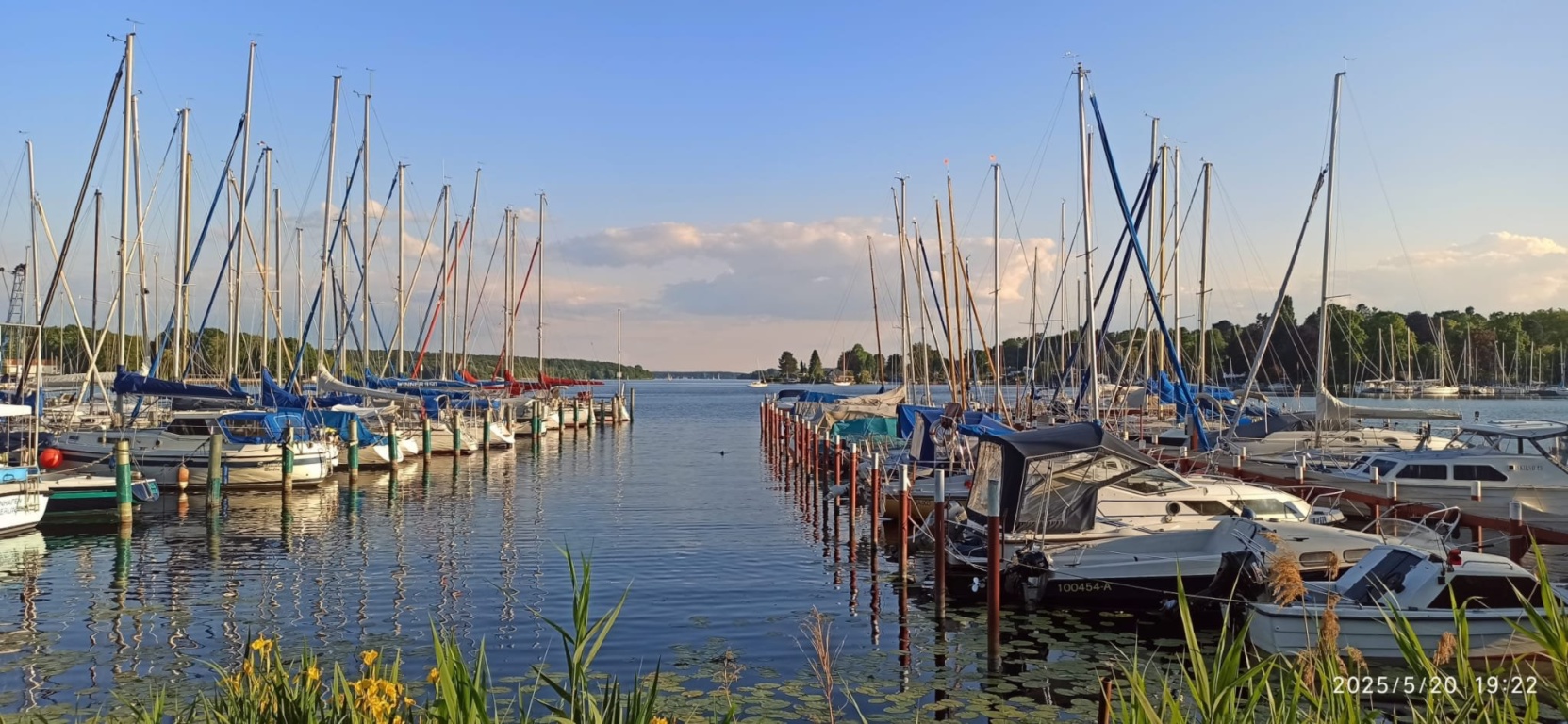 Flatshare Kladow Neukladower Allee - Kladow Hafen