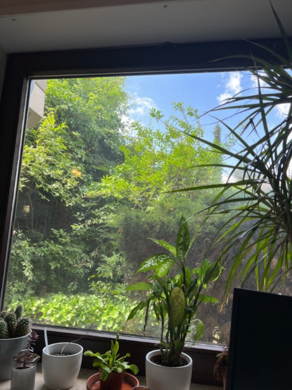 1 Room Flat Dossenheim Friedrich-Ebert-Straße - picture 1