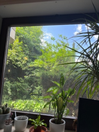 Ad image: Furnished one-room apartment, 15 minutes from the city centre of Heidelberg, in a quiet and well connected location to the sub-rental