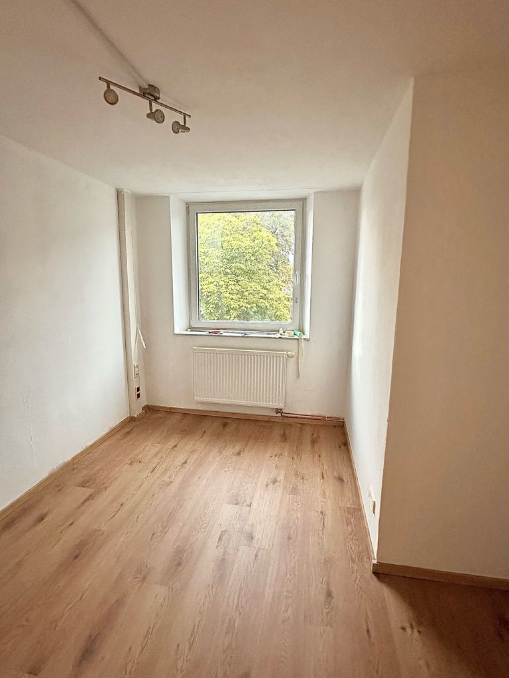 WG-Zimmer Braunschweig Pockelsstraße 6 - Bild 1