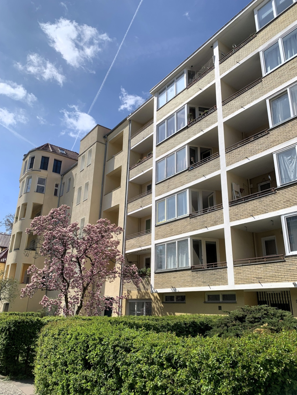 Moderne 1-Zimmer-Wohnung mit Sunny Balcony in Berlin-Steglitz (in der Nähe der Freien Universität) Modern 1-Room Apartment with Sunny Balcony in Berlin-Steglitz (close to Freie Universität) – Stindestraße, 12167 Berlin Steglitz – Vorschaubild 17
