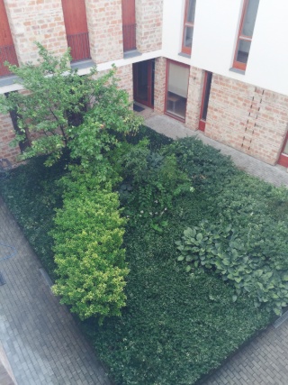 Ad image: Modern apartment in Barbakán square with fixed warm rental