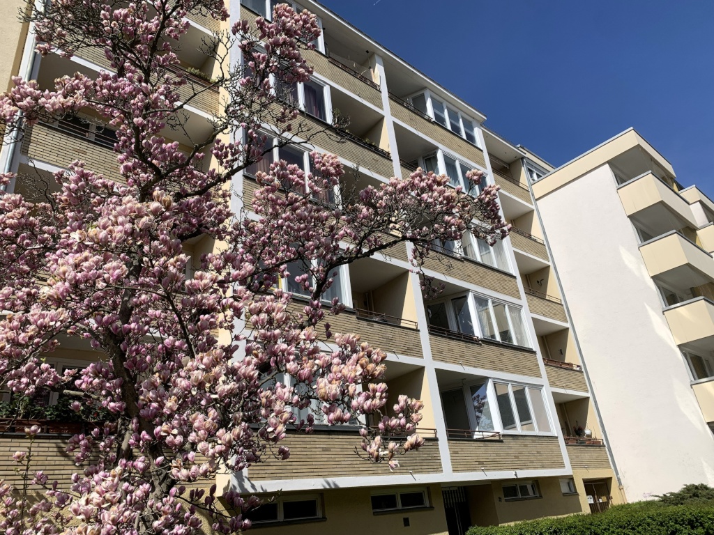 Moderne 1-Zimmer-Wohnung mit Sunny Balcony in Berlin-Steglitz (in der Nähe der Freien Universität) Modern 1-Room Apartment with Sunny Balcony in Berlin-Steglitz (close to Freie Universität) – Stindestraße, 12167 Berlin Steglitz – Vorschaubild 19