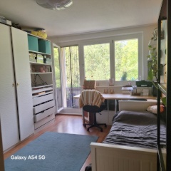 Anzeigenbild: Zur Untermiete: Schöne 1-Zimmer-Wohnung in Potsdam am See (Sept.–Nov.)