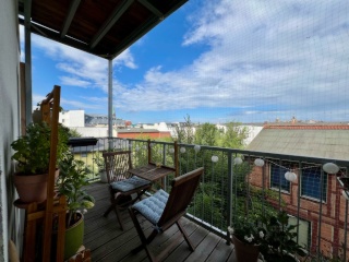 Anzeigenbild: Ruhiges, zentral gelegenes WG-Zimmer mit Blick auf Schlossdächer