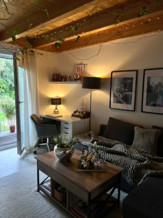 Imagen del anuncio: Apartamento amueblado de 1 dormitorio en alquiler