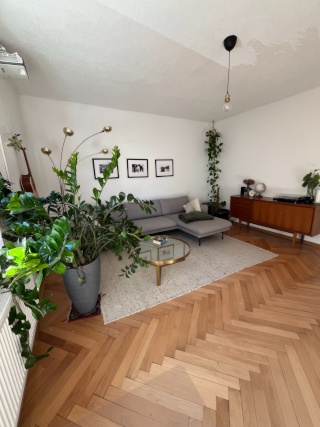 Imagen del anuncio: Amueblado antiguo edificio con jardín - En el centro de la ciudad y cerca del Danubio (período flexible)