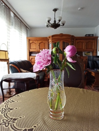 10-23.09,  3-room apartment  FsHain/Prenz/Mitte — photo 1
