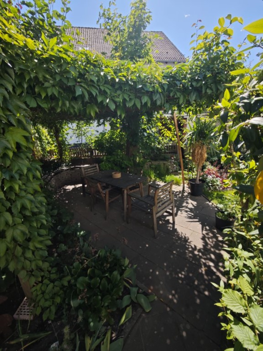 Zwei Zimmer 2ZKB EG, frisch renoviert, Ideal für WG, mit Garten in zentraler Lage – Osningstraße 26, 49082 Osnabrück Schölerberg – Vorschaubild 16