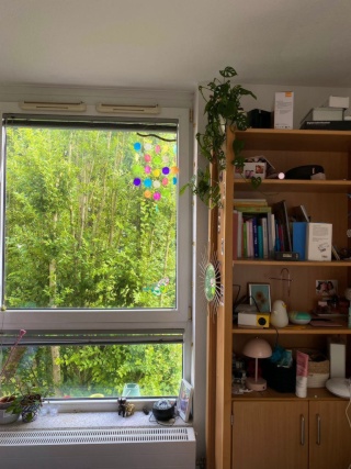 Ad image: Roommate*in for FLINTA WG