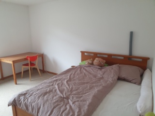 Anzeigenbild: 1 Zimmer (25m2) in 2er-WG im Zentrum von Lörrach