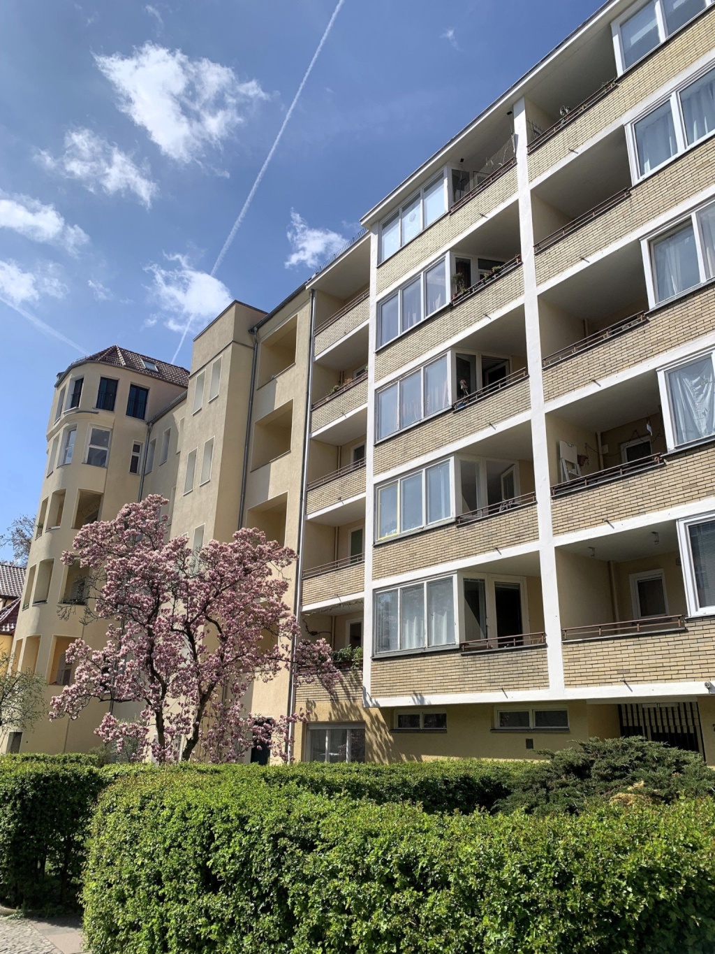 Moderne 1-Zimmer-Wohnung in Berlin-Steglitz (in der Nähe der Freien Universität) – Stindestraße, 12167 Berlin Steglitz – Vorschaubild 17