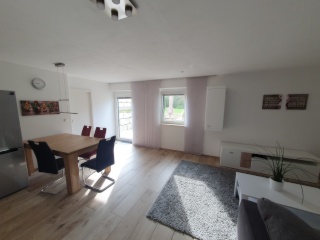 Ad image: New, furnished 1.5-room home for rent