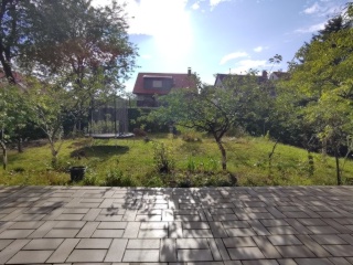 Anzeigenbild: Zwei WG Zimmer in Gartenwohnung frei